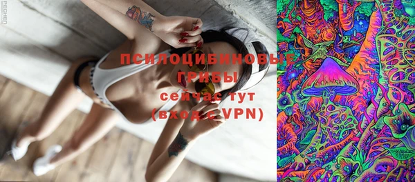 ешки Пересвет